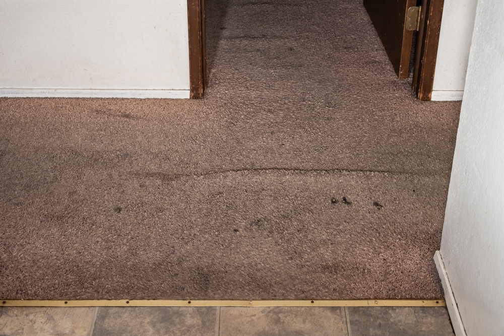 gros plan sur une moquette usée dans un appartement, illustration de l'usure normale avec le temps