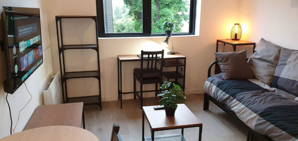 Appartement, meublé, 1 pièce, 19m² à Toulouse (31400) — photo principale