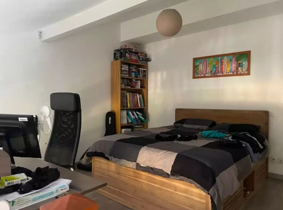 Appartement, meublé, 2 pièces, 56m² à Toulouse (31200) — photo 5