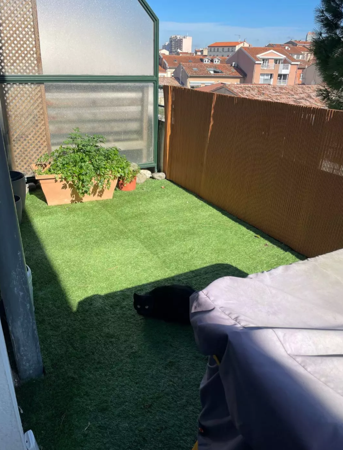 Appartement, meublé, 2 pièces, 56m² à Toulouse (31200) — photo 2