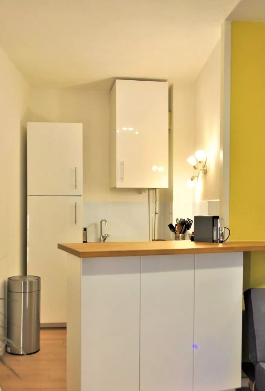 Appartement, meublé, 1 pièce, 44m² à Lyon (69001) — photo principale