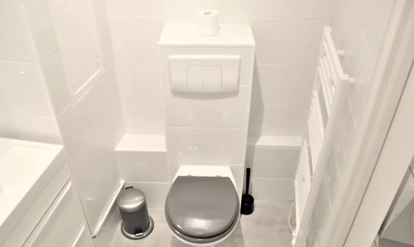 Appartement, meublé, 1 pièce, 44m² à Lyon (69001) — photo 2