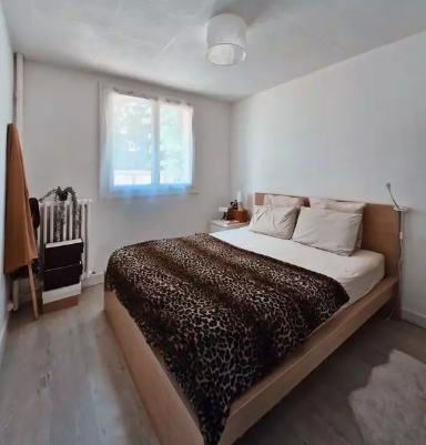 Appartement, meublé, 3 pièces, 52m² à Saint-Étienne (42000) — photo 4
