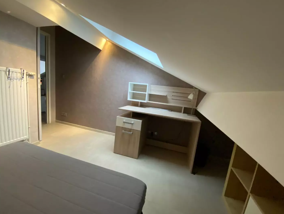 Appartement, meublé, 2 pièces, 45m² à Saint-Étienne (42000) — photo principale