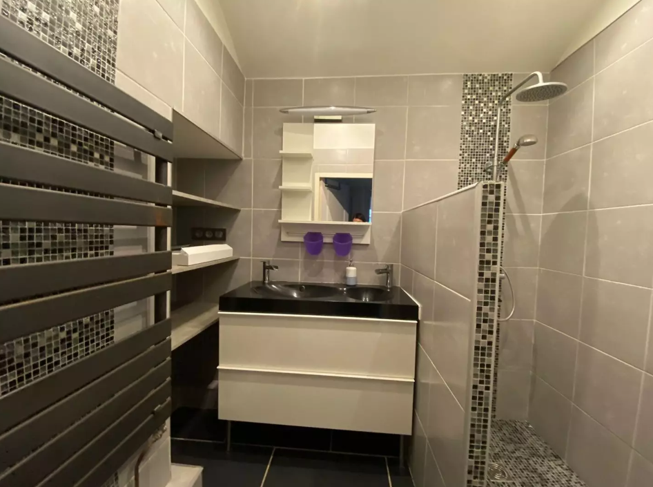 Appartement, meublé, 2 pièces, 45m² à Saint-Étienne (42000) — photo 2