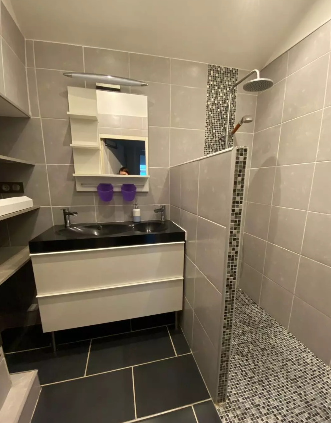 Appartement, meublé, 2 pièces, 45m² à Saint-Étienne (42000) — photo 3