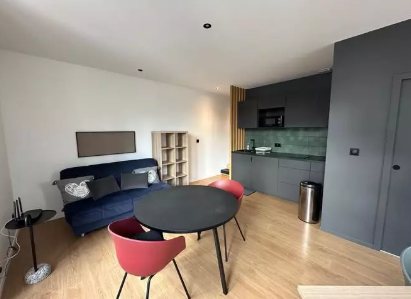 Appartement, meublé, 3 pièces, 35m² à Saint-Étienne (42000) — photo 4