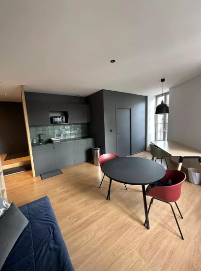 Appartement, meublé, 3 pièces, 35m² à Saint-Étienne (42000) — photo 5