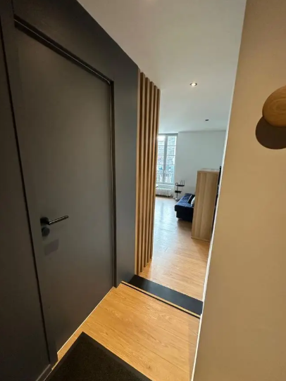 Appartement, meublé, 3 pièces, 35m² à Saint-Étienne (42000) — photo 3