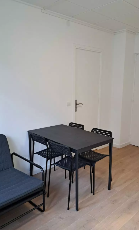 Appartement, meublé, 2 pièces, 32m² à Strasbourg (67200) — photo 3
