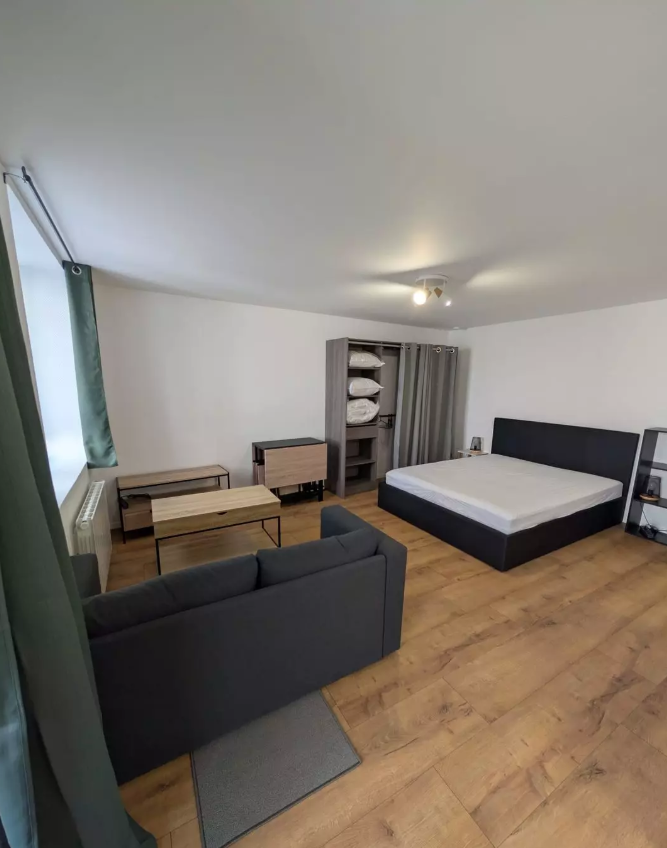 Appartement, meublé, 1 pièce, 29m² à Saint-Étienne (42000) — photo principale