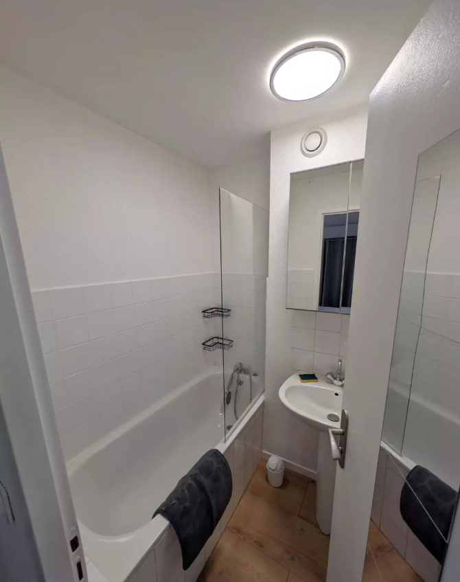 Appartement, meublé, 1 pièce, 29m² à Saint-Étienne (42000) — photo 4