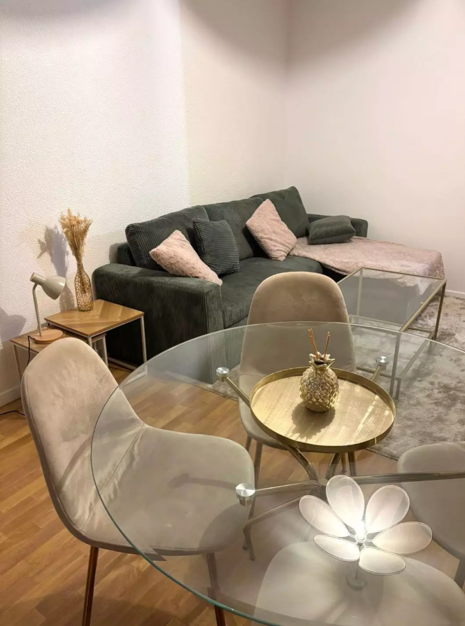 Appartement, meublé, 2 pièces, 50m² à Villeurbanne (69100) — photo 3