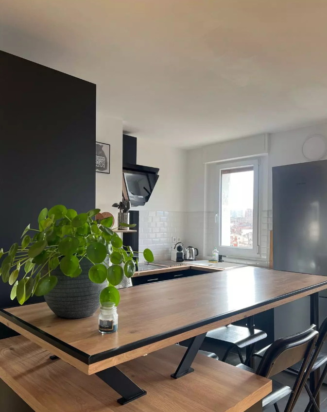 Appartement, meublé, 2 pièces, 51m² à Toulouse (31000) — photo 4