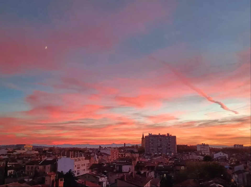Appartement, meublé, 2 pièces, 51m² à Toulouse (31000) — photo principale