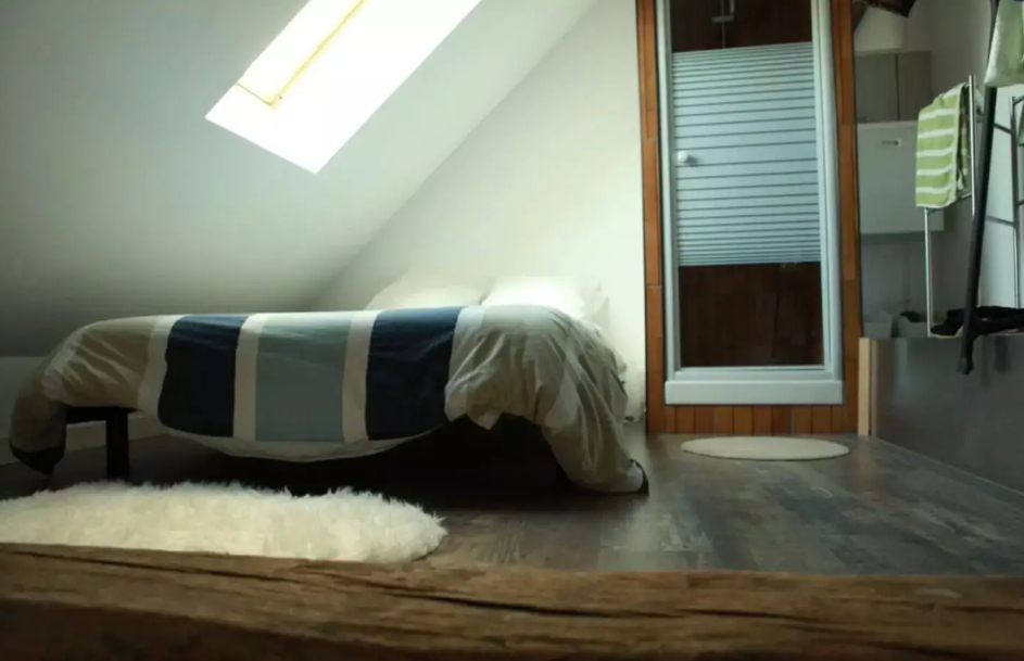 Appartement, meublé, 2 pièces, 40m² à Dijon (21000) — photo 3