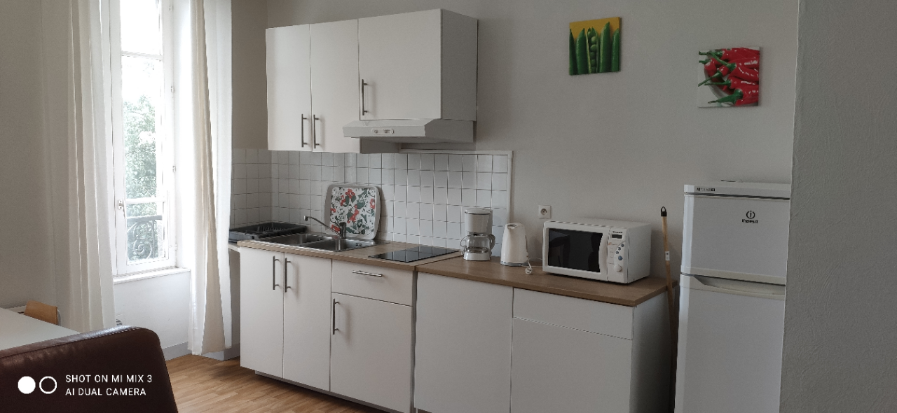 Appartement, meublé, 2 pièces, 45m² à Brest (29200) — photo 3