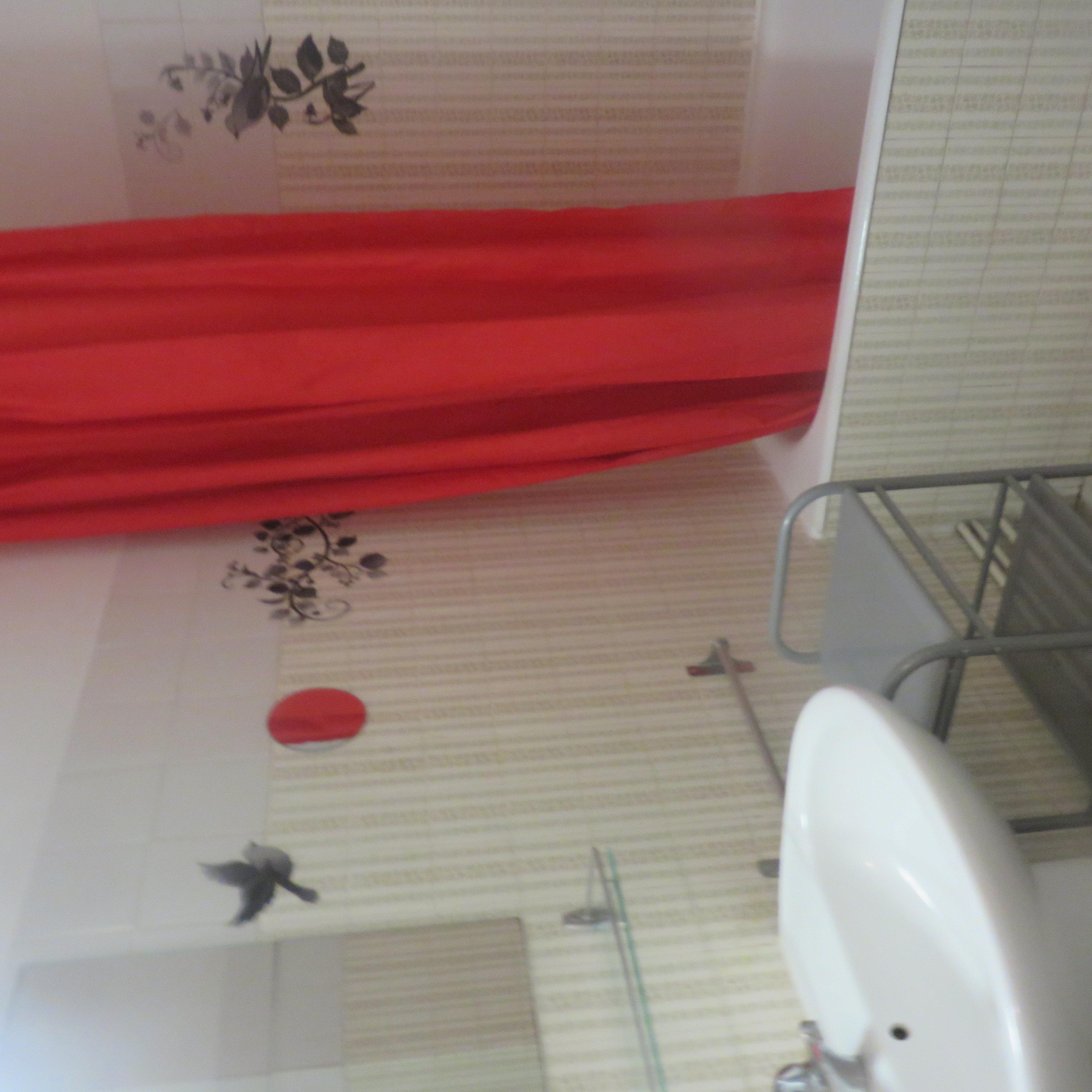 Appartement, meublé, 1 pièce, 24m² à Bordeaux (33800) — photo 2