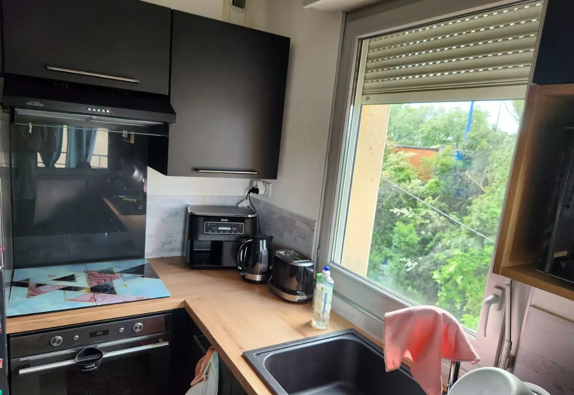 Appartement, meublé, 3 pièces, 60m² à Toulouse (31300) — photo 3