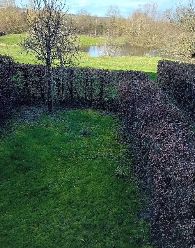 Appartement, meublé, 10m² à Avrillé (49240) — photo 3