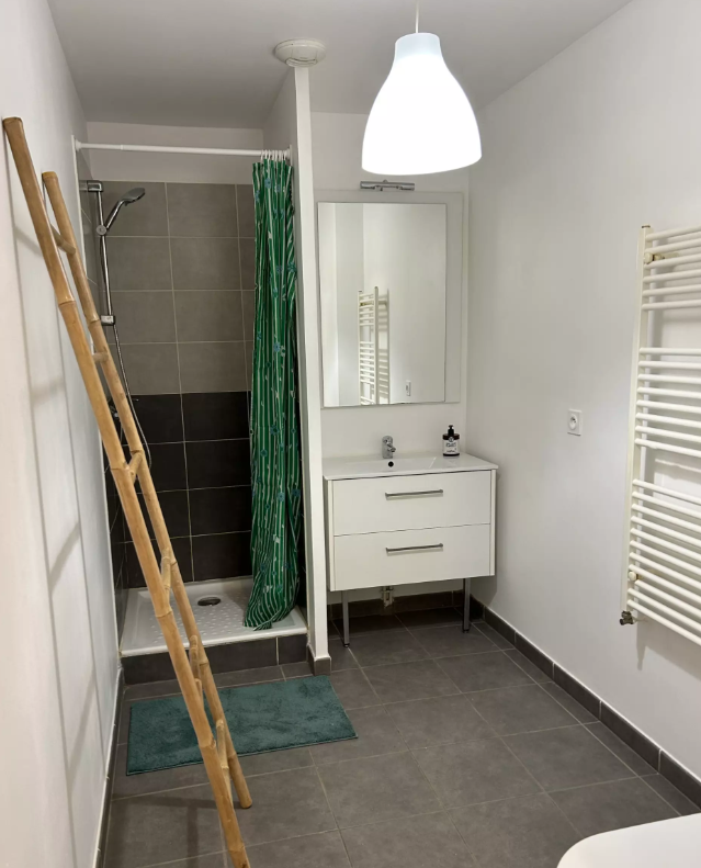 Appartement, meublé, 1 pièce, 31m² à Francheville (69340) — photo 3