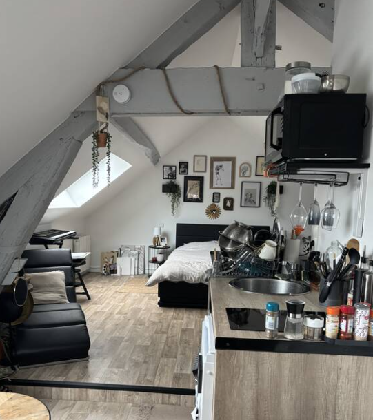 Appartement, meublé, 2 pièces, 25m² à Coulommiers (77120) — photo 3
