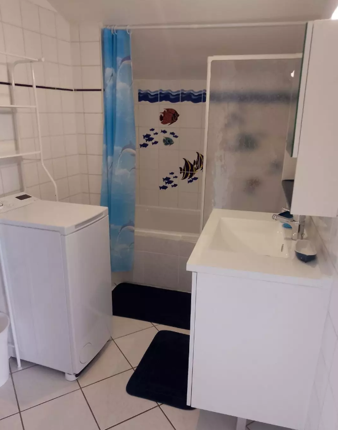 Appartement, meublé, 1 pièce, 36m² à Villeurbanne (69100) — photo 3