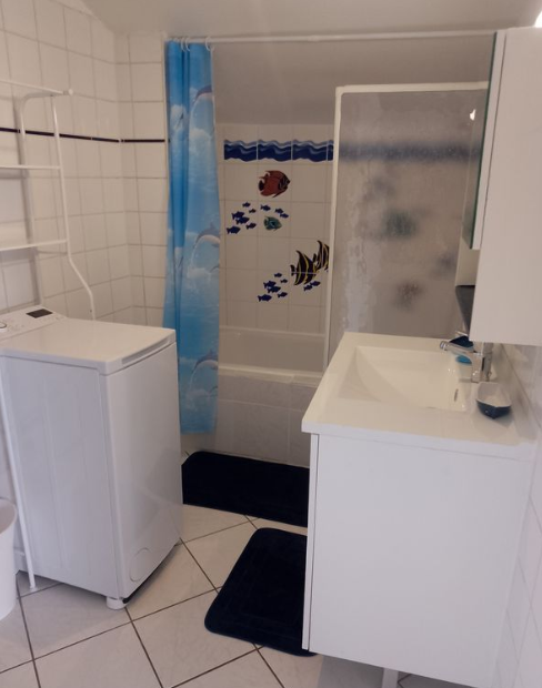 Appartement, meublé, 1 pièce, 36m² à Villeurbanne (69100) — photo 3