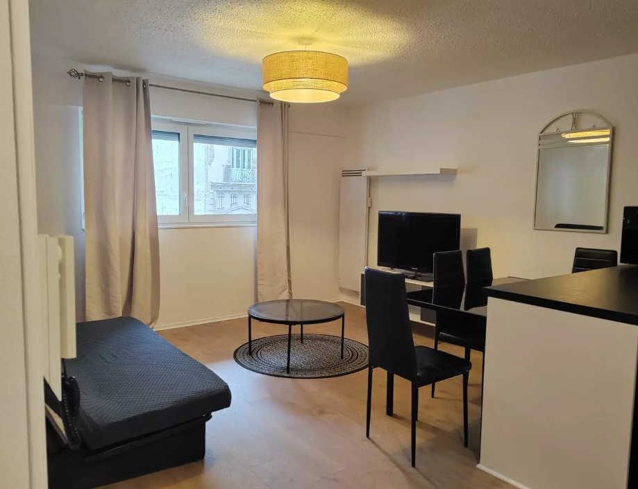 Appartement, meublé, 1 pièce, 50m² à Strasbourg (67000) — photo principale