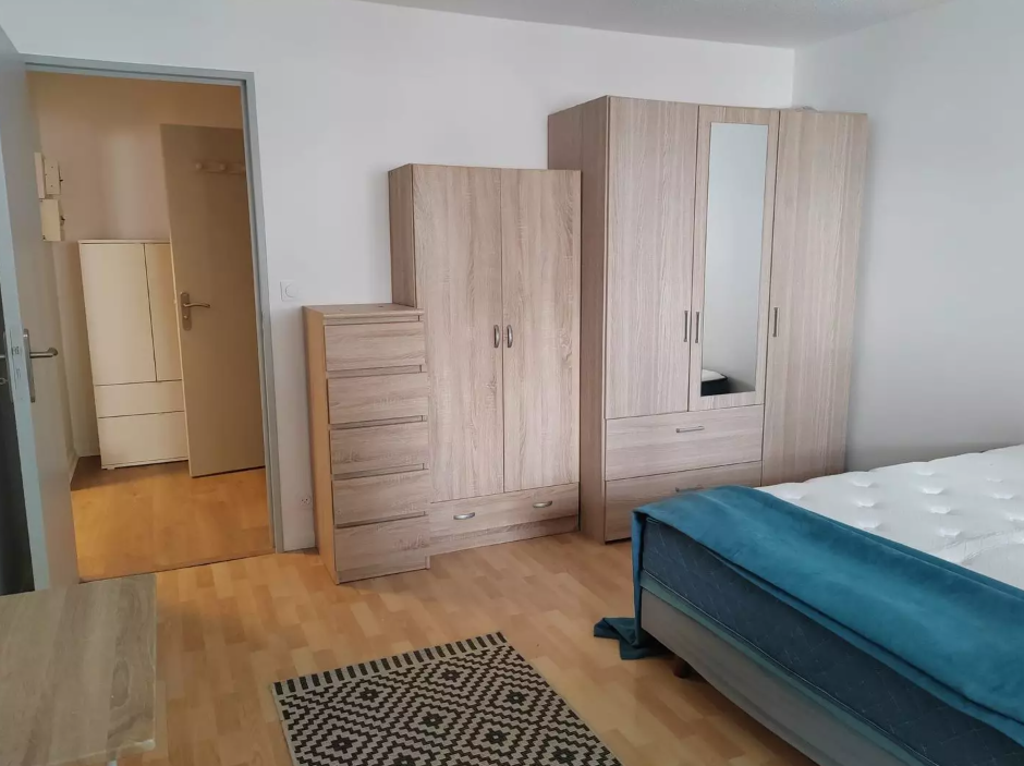 Appartement, meublé, 1 pièce, 50m² à Strasbourg (67000) — photo 2