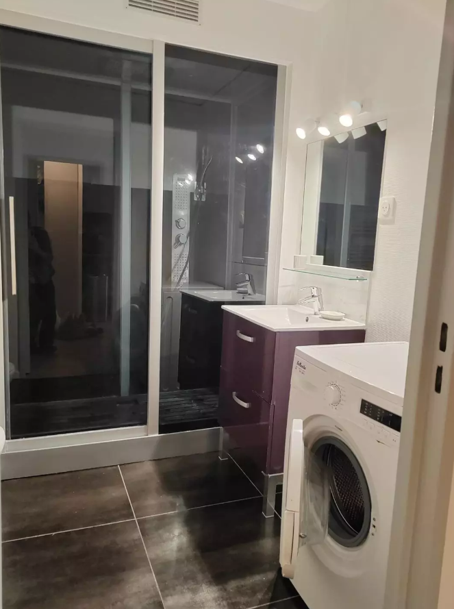 Appartement, meublé, 1 pièce, 50m² à Strasbourg (67000) — photo 3