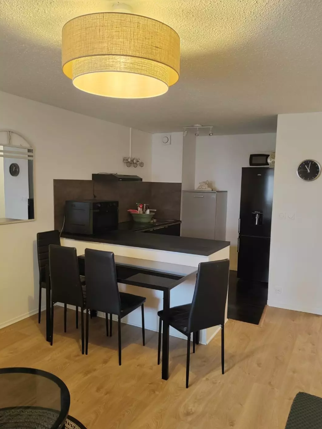 Appartement, meublé, 1 pièce, 50m² à Strasbourg (67000) — photo 4