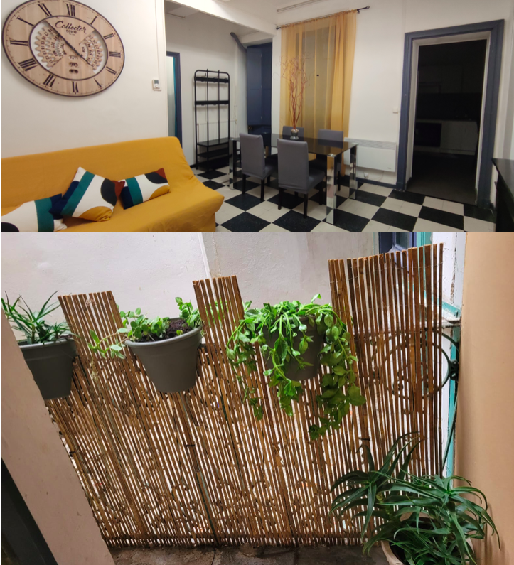 Appartement, meublé, 2 pièces, 40m² à Béziers (34500) — photo 3