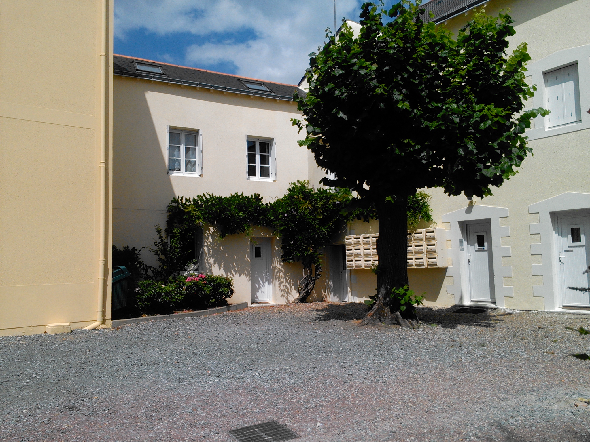 Appartement, meublé, 1 pièce, 19m² à Angers (49000) — photo principale