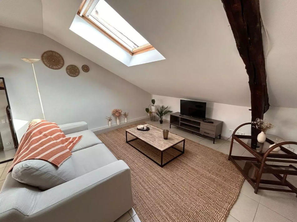 Appartement, meublé, 1 pièce, 46m² à Angers (49000) — photo principale