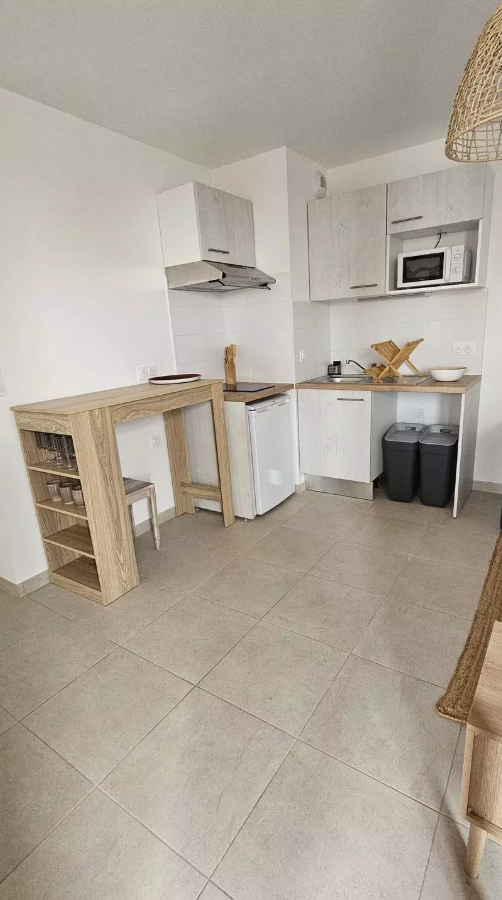 Appartement, meublé, 2 pièces, 42m² à Toulouse (31300) — photo 3