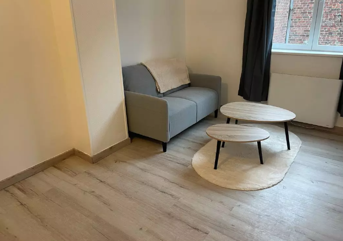 Appartement, meublé, 2 pièces, 62m² à Lille (59000) — photo 3