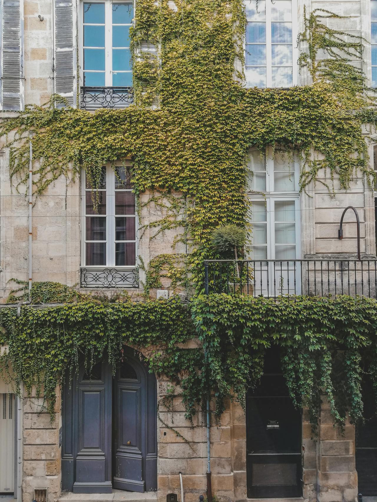 Appartement, meublé, 2 pièces, 44m² à Bordeaux (33000) — photo principale