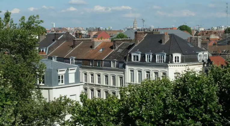 Appartement, meublé, 2 pièces, 48m² à Lille (59000) — photo principale