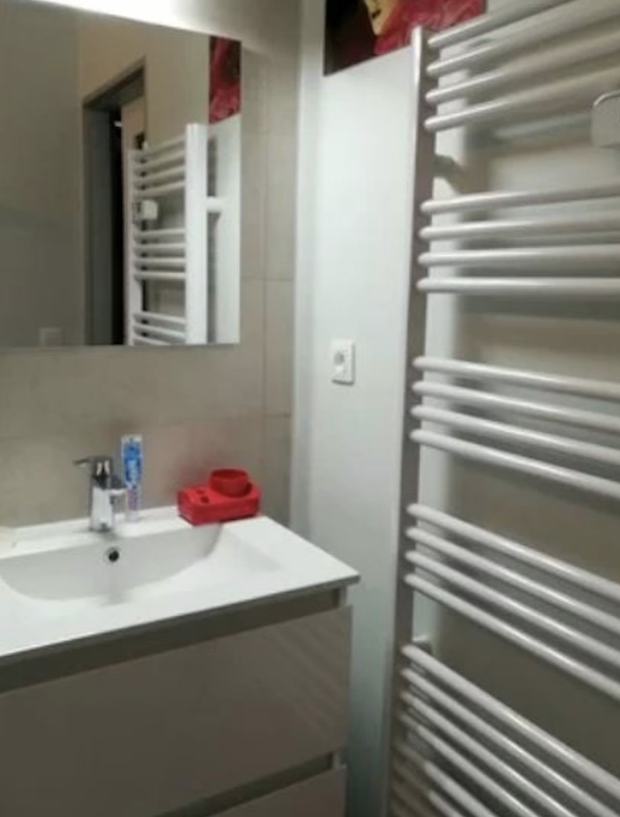 Appartement, meublé, 1 pièce, 23m² à Toulouse (31000) — photo 5