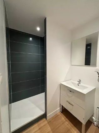Appartement, meublé, 80m² à Rennes (35000) — photo 3