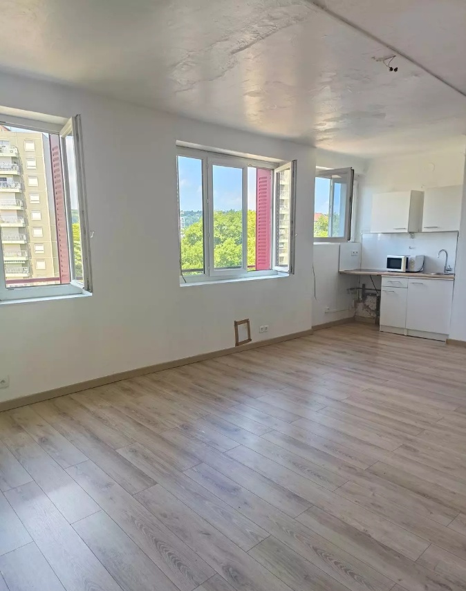 Appartement, meublé, 1 pièce, 35m² à Lyon (69007) — photo 3