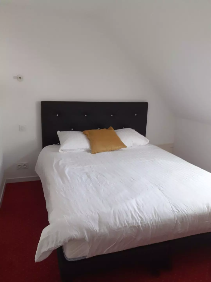 Appartement, meublé, 1 pièce, 35m² à Saint-Père-sur-Loire (45600) — photo 5