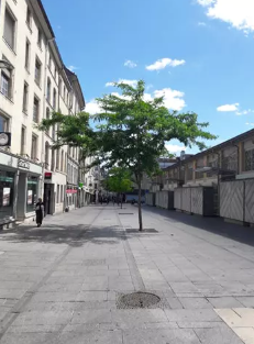 Appartement, non meublé, 2 pièces, 50m² à Nancy (54000) — photo 2