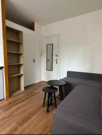 Appartement, meublé, 1 pièce, 15m² à Lyon (69004) — photo 3