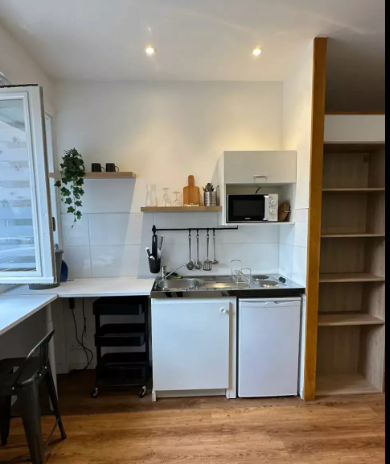 Appartement, meublé, 1 pièce, 15m² à Lyon (69004) — photo 2