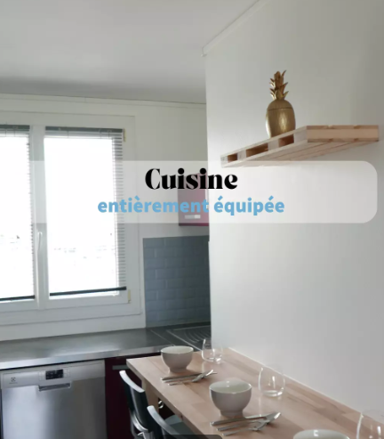Appartement, meublé, 4 pièces, 63m² à Villeurbanne (69100) — photo 3