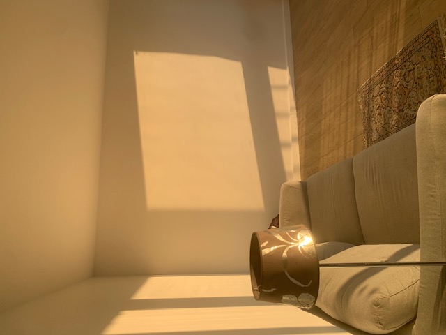 Appartement, non meublé, 1 pièce, 38m² à Villeurbanne (69100) — photo 2