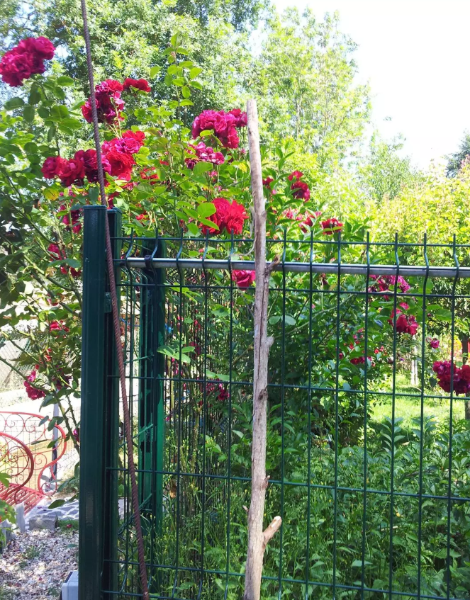 Chambre, meublé, 12m² à Septeuil (78790) — photo 4