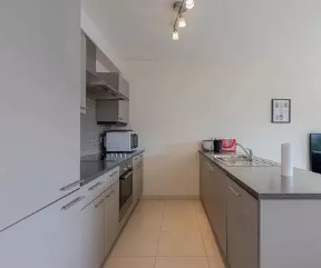 Appartement, meublé, 2 pièces, 33m² à Strasbourg (67000) — photo 3